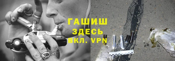PSILOCYBIN Алзамай