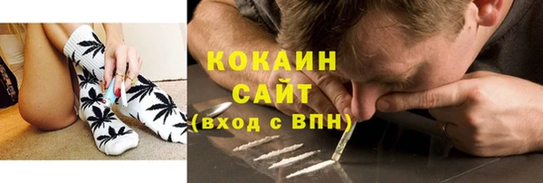 PSILOCYBIN Алзамай