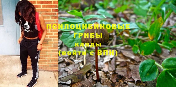 PSILOCYBIN Алзамай