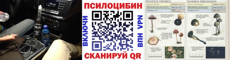 Псилоцибиновые грибы Psilocybe  Анжеро-Судженск 