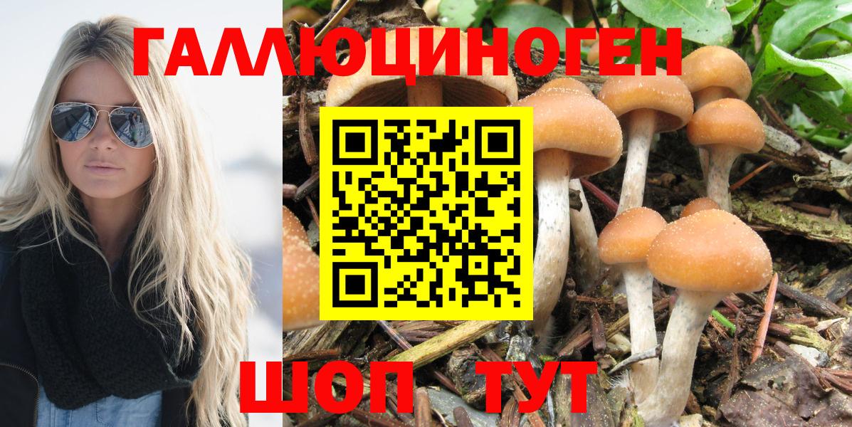 наркота  Галлюциногенные грибы Cubensis  Вход с VPN  Анжеро-Судженск  Галлюциногенные грибы MAGIC MUSHROOMS 