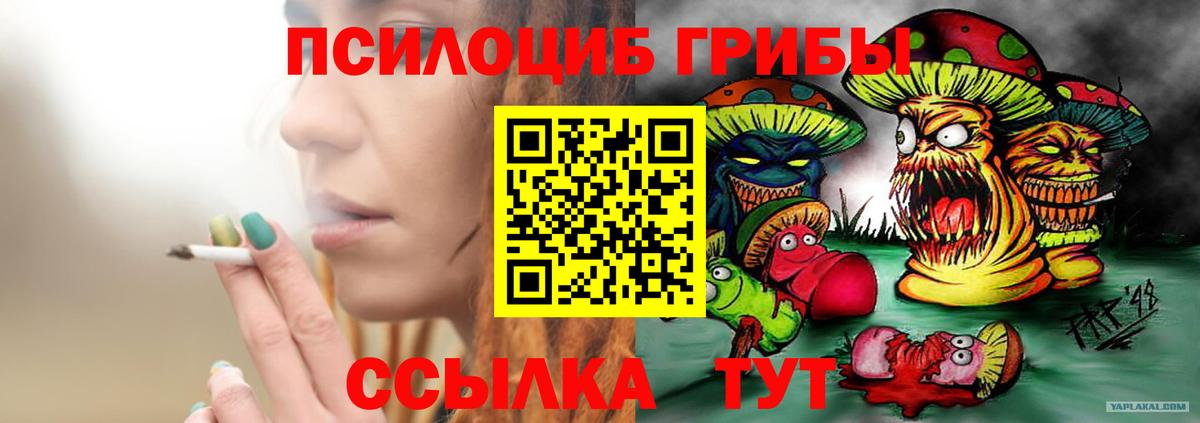 Галлюциногенные грибы Psilocybine cubensis Анжеро-Судженск